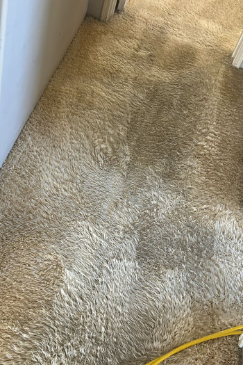 contact about carpet cleaning nj carpet cleaning in bernardsville contact about carpet cleaning nj carpet cleaning in bernardsville